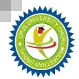 OPJS University